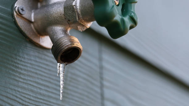 Best Shower Repair Services  in Sound Beach, NY